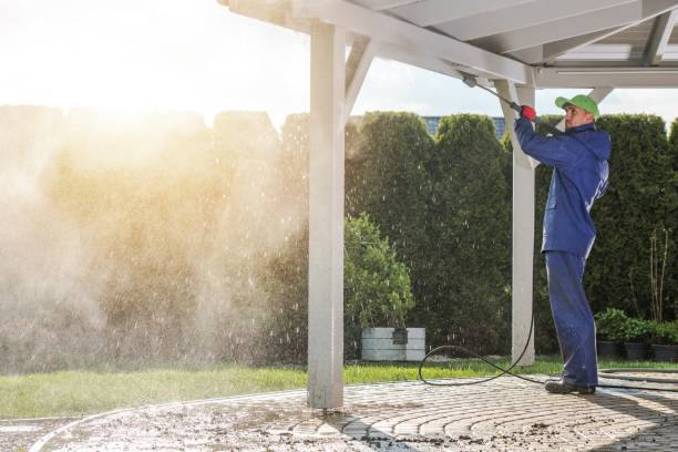 Best Driveway Pressure Washing  in Ramsey, MN